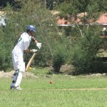 cricket